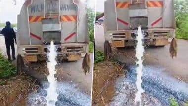 ‘Fake Milk’ Found in Agra: UPFDA Destroys Adulterated Milk From Seized Tanker in Uttar Pradesh, Video Surfaces