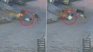 Kushinagar Dog Attack: Kid Attacked by Pack of Stray Dogs in UP, Sustains 18 Deep Wounds; Disturbing Video Surfaces