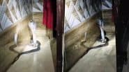 Uttar Pradesh: 6-Foot-Long Cobra Sparks Panic in Baghpat, Family Flees Home in Terror As Snake Hisses Loudly at Dawn; Video Goes Viral
