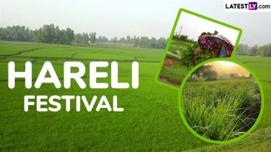 Hareli Tihar 2025 Wishes and Images: Social Media Users Share Greetings, Videos and Wallpapers on X To Celebrate Chhattisgarh’s Hareli Festival