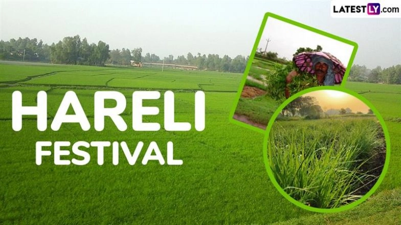 Hareli Tihar 2025 Wishes and Images: Social Media Users Share Greetings, Videos and Wallpapers on X To Celebrate Chhattisgarh’s Hareli Festival