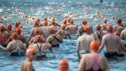 Vibrio Bacteria: How to Swim in European Waters and Survive