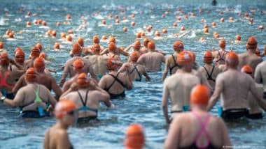 Vibrio Bacteria: How to Swim in European Waters and Survive