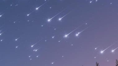 Meteor Shower July 2025 Dates: How To Watch This Week’s Twin Meteor Showers? Guide to Shooting Stars Gracing the Sky As Southern Delta Aquariids and Alpha Capricornids Peak