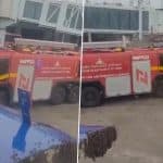 IndiGo Flight 6E784 From Surat to Jaipur Delayed After Bee Attack, Videos Show Swarm of Bees Sitting Near Aircraft’s Open Luggage Door