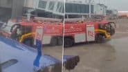 IndiGo Flight 6E784 From Surat to Jaipur Delayed After Bee Attack, Videos Show Swarm of Bees Sitting Near Aircraft’s Open Luggage Door