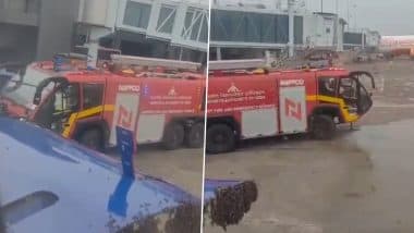 IndiGo Flight 6E784 From Surat to Jaipur Delayed After Bee Attack, Videos Show Swarm of Bees Sitting Near Aircraft’s Open Luggage Door