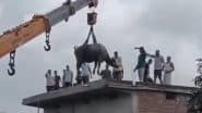 Madhya Pradesh: Buffalo Climbs Onto Roof of House To Escape Rain in Singrauli, Sparks Chaos and Crowd Frenzy; Crane Called In for Rescue (Watch Video)