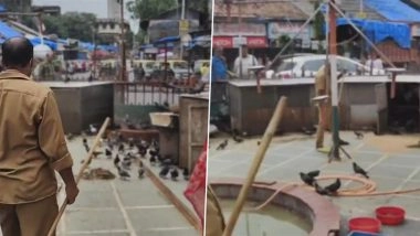 Dadar Kabutar Khana Shed, Fencing Dismantled: BMC Takes Action Against Pigeon Feeding, Removes Illegal Structures on Dadar Kabutarkhana Premises After Govt Order To Shut 51 Kabutarkhanas in Mumbai (Video)