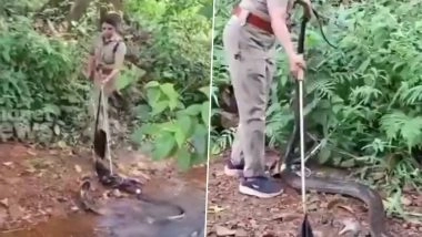 Kerala: Brave Forest Officer Roshni Tackles 18-Foot King Cobra in Thiruvananthapuram, Video Shows Daring Rescue of Huge Venomous Snake
