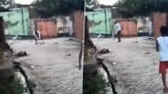 Animal Cruelty Caught on Camera in Muzaffarnagar: Man Kills Dog by Slamming It Repeatedly on Ground, Police Launch Probe As Disturbing Video Goes Viral