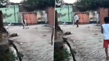 Animal Cruelty Caught on Camera in Muzaffarnagar: Man Kills Dog by Slamming It Repeatedly on Ground, Police Launch Probe As Disturbing Video Goes Viral