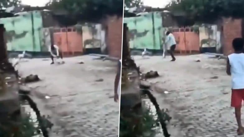 Animal Cruelty Caught on Camera in Muzaffarnagar: Man Kills Dog by Slamming It Repeatedly on Ground, Police Launch Probe As Disturbing Video Goes Viral