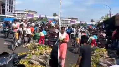 Mango Madness in Dehradun: Truck Overturns on Rispana Bridge, Locals Rush to Loot 600 Crates of Juicy Fruit As Driver Bleeds, Video Goes Viral