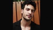 Hindi-Marathi Conflict: Actor Zain Durrani Emphasises Importance of Respecting Diverse Languages of Regions