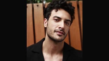 Hindi-Marathi Conflict: Actor Zain Durrani Emphasises Importance of Respecting Diverse Languages of Regions