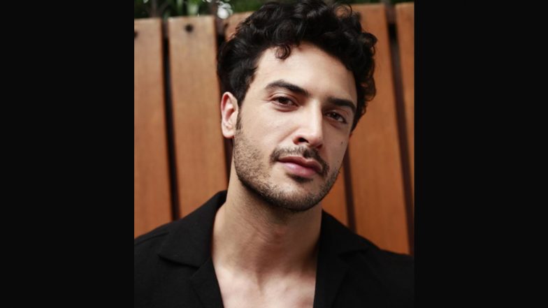 Hindi-Marathi Conflict: Actor Zain Durrani Emphasises Importance of Respecting Diverse Languages of Regions