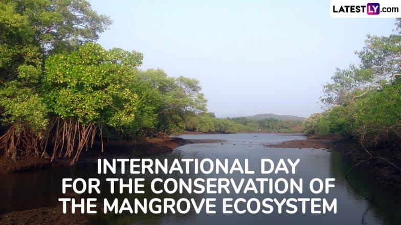 International Day for the Conservation of the Mangrove Ecosystem 2025 Date: Here’s the Significance of the Day That Aims To Raise Awareness About Mangrove Ecosystem