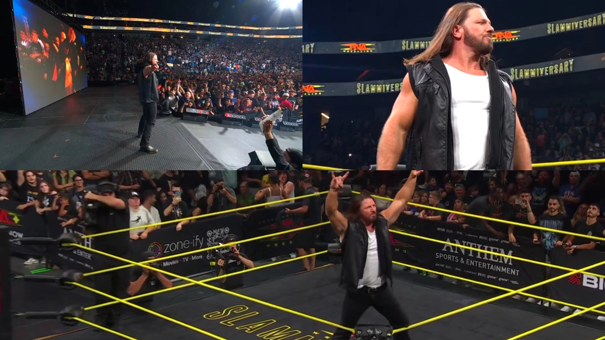 未開封 新日 WWE TNA AJスタイルズ エリート 未開封 新日 WWE TNA AJ