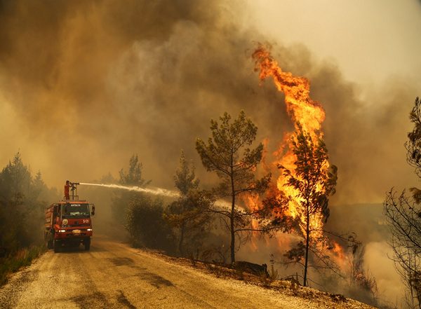 World News | Over 50,000 Evacuated as Turkiye Battles Izmir Wildfires for Second Day
