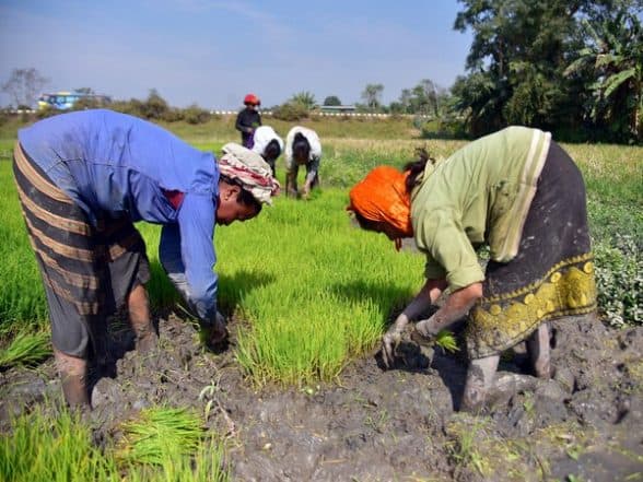 Business News | Robust 11.3% Surge in Kharif Sowing Bodes Well for Inflation Outlook in 2025: ICICI Bank