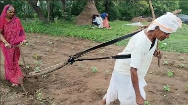 India News | Maharashtra: 76-year-old Farmer Ploughs Farm Manually for 10 Years Due to Financial Hardship