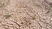 World News | Amid Political Instability, UN Reports a Rapidly Spreading Drought in Afghanistan