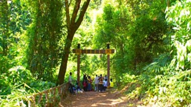 India News | Chhattisgarh Forest Department Halts CFR Management Implementation Pending Centre's Guidelines