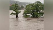 World News | 24 Die in Texas Floods, Trump Calls Inundation 'terrible'