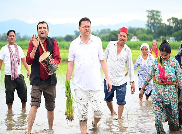 India News | Uttarakhand: CM Pushkar Singh Dhami Participates in Paddy Sowing, Showcases Commitment to Farmers and Cultural Heritage
