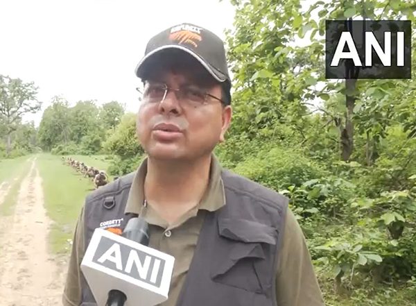 India News | Uttarakhand CM Pushkar Singh Dhami Takes Jungle Safari in Corbett National Park