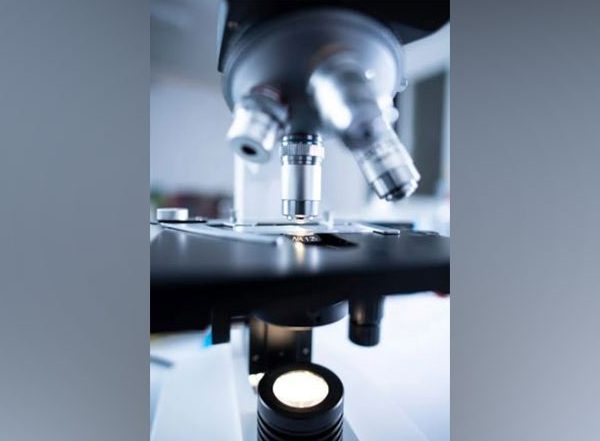 Health News | Here is How AI Can Help to Understand Gut Bacteria