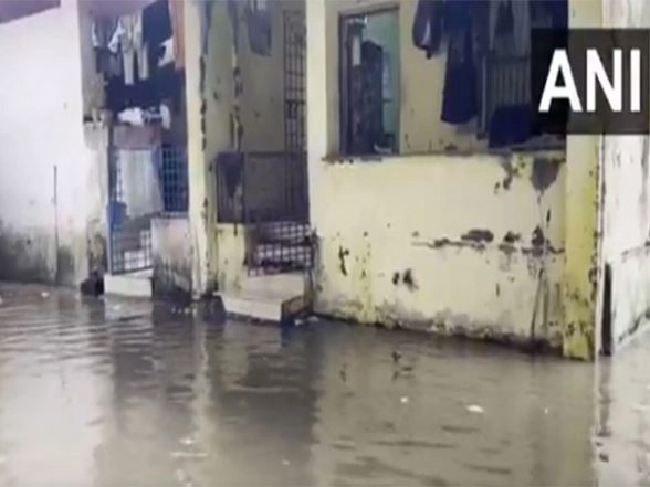 LatestLY - Politics - News Image