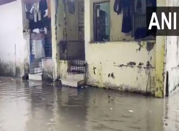 India News | Gujarat: Heavy Rainfall Triggers Waterlogging in Parts of Navsari