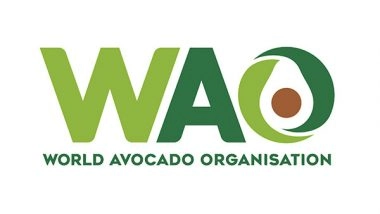 Business News | World Avocado Organisation Launches 2025 Campaign in India!