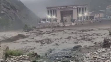 World News | Flash Flood Sweeps Nepal-China Bridge and Vehicles in Rasuwa; Search Operation Underway