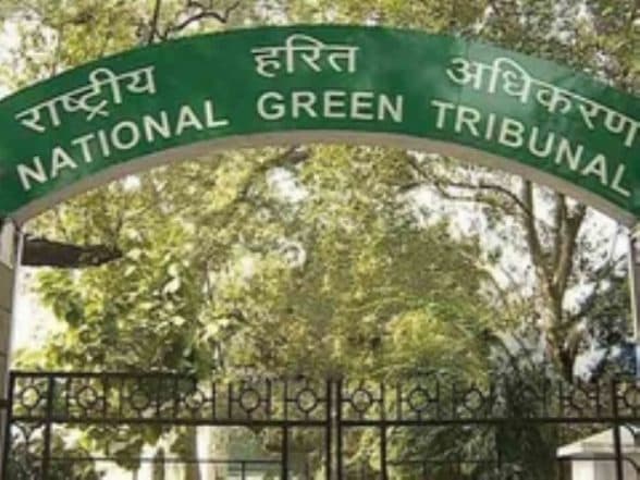 India News | NGT Takes Suo Motu Cognisance of Disappearance of Water Bodies in Ahmedabad, Issues Notices