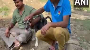 India News | Disaster Pawtrol: Pet Dog Rocky Saves Lives During Cloudburst