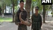India News | Jammu and Kashmir: Army Rescues Pangolin in Akhnoor, Hands It to Wildlife Department