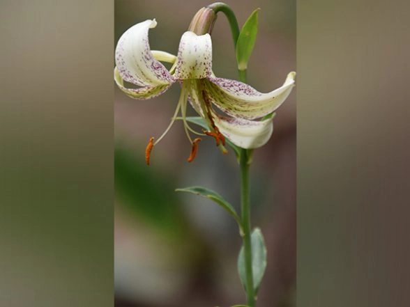 LatestLY - Business - News Image