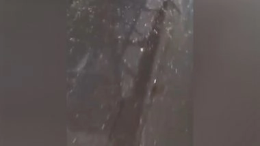 India News | Delhi Police Detain E-rickshaw Driver over Broken Glass Along Kanwar Yatra Route