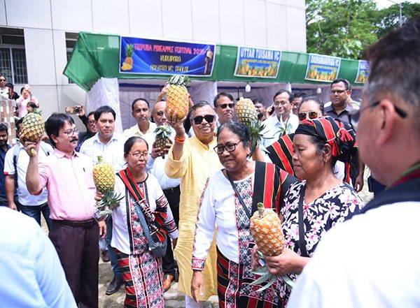 India News | Tripura Govt to Set Up New Fruit Processing Centre in Nalkata to Boost Pineapple Growers' Income