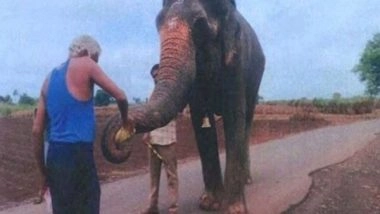 India News | Bombay HC Approves Transfer of Elephant Mahadevi to Gujarat Sanctuary Backed by Anant Ambani's Radhe Krishna Trust