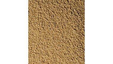 Business News | India's Millet Standards Applauded at 88th Codex Executive Committee Meet in Rome