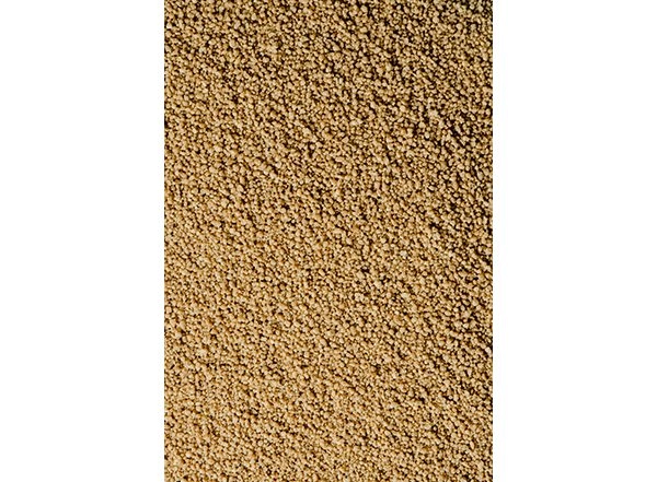 Business News | India's Millet Standards Applauded at 88th Codex Executive Committee Meet in Rome
