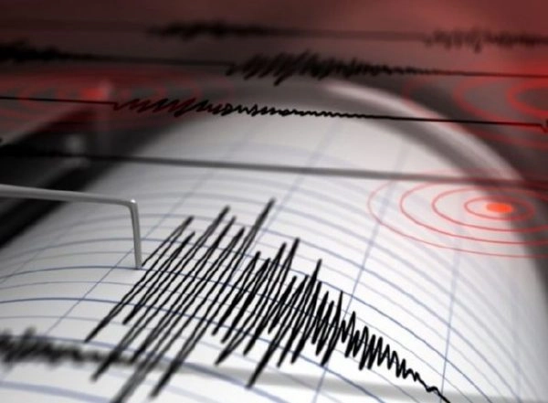India News | Earthquake of Magnitude 2.9 Hits Assam's Nagaon District
