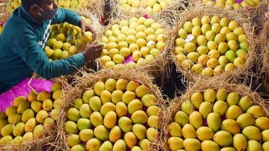 India News | Gujarat Mangoes Make Mark in International Markets, 856 MT Exported in 2024-25