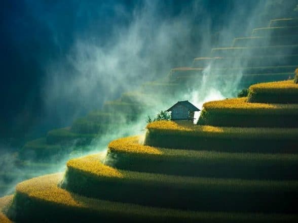 Business News | Greenstorm Unveils Winning Images Celebrating Beautiful Wetlands