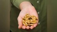 Business News | Walnuts Among Omega-3 Foods Linked to Brain Development Benefits in Children and Adolescents