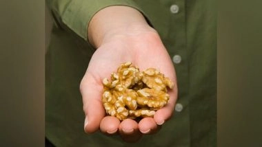 Business News | Walnuts Among Omega-3 Foods Linked to Brain Development Benefits in Children and Adolescents